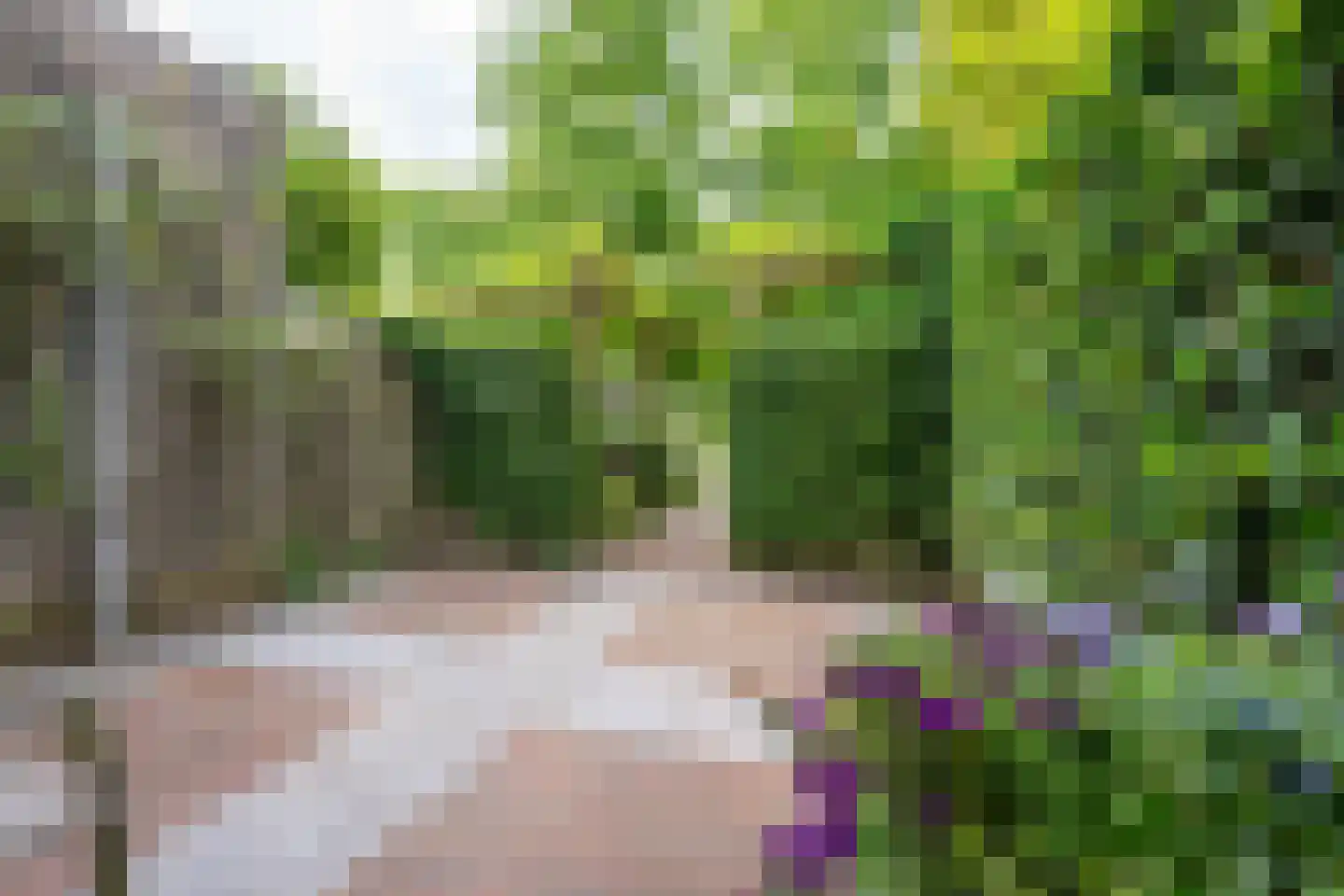 Heemcamp 18 Houten thumbnail 50