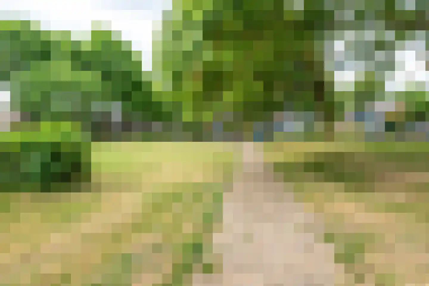 Heemcamp 18 Houten thumbnail 52