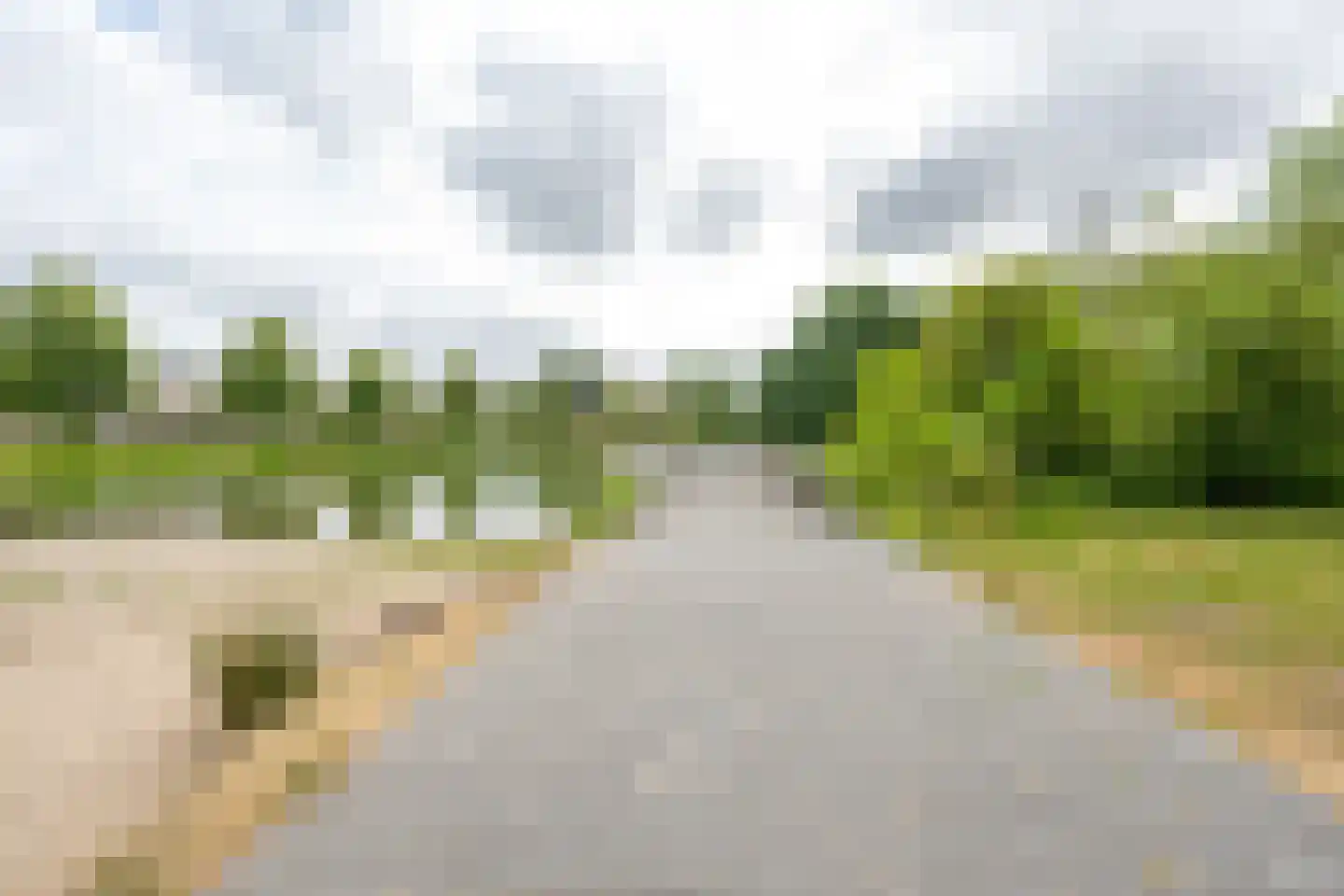 Heemcamp 18 Houten thumbnail 56