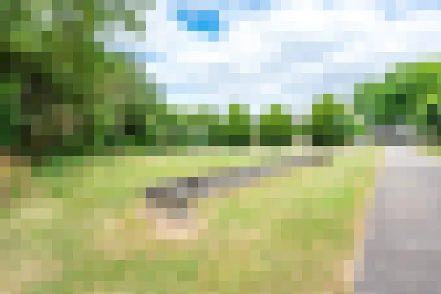 Heemcamp 18 Houten thumbnail 61