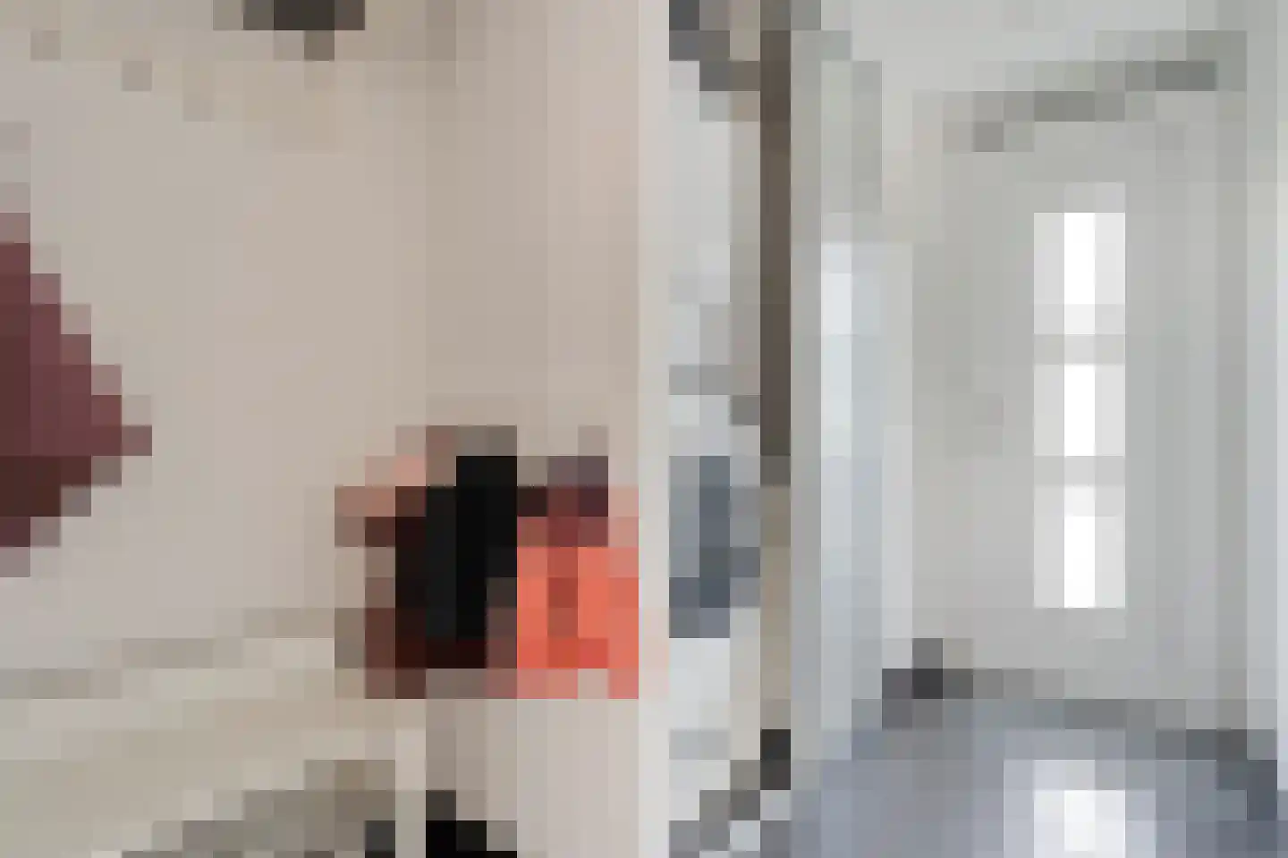 Heemingeslag 26 Emmen thumbnail 4