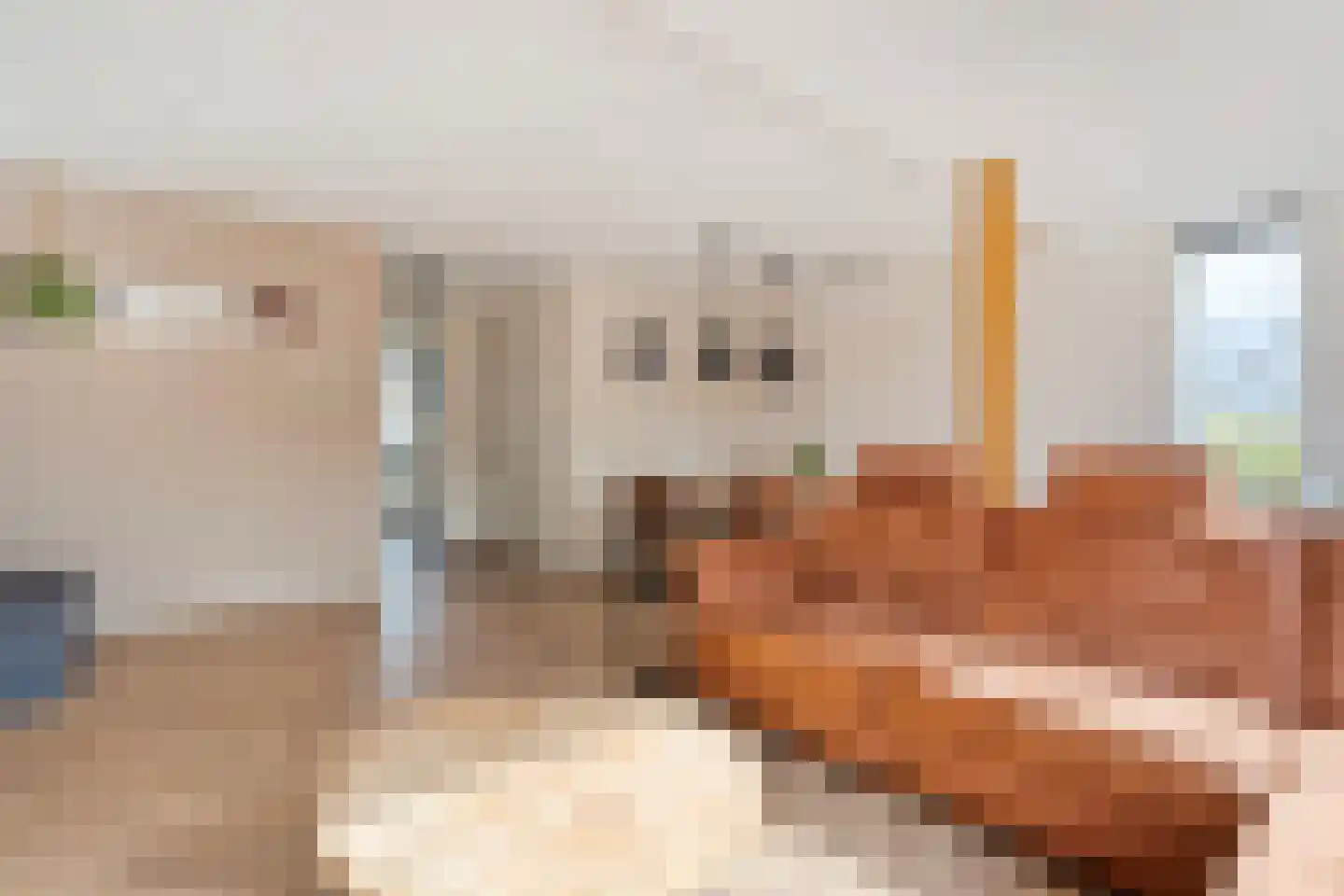 Heemingeslag 26 Emmen thumbnail 8