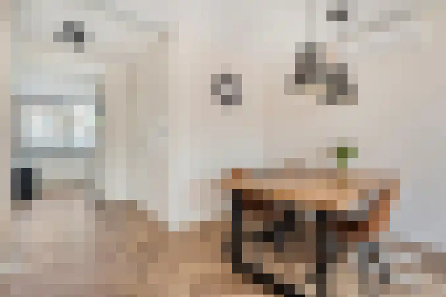 Heemingeslag 26 Emmen thumbnail 9