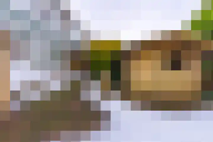 Heemker Akkerstraat 15 Ter Apel thumbnail 36