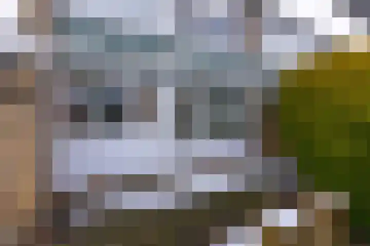 Heemker Akkerstraat 15 Ter Apel thumbnail 38
