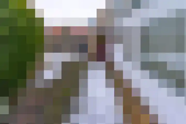 Heemker Akkerstraat 15 Ter Apel thumbnail 39