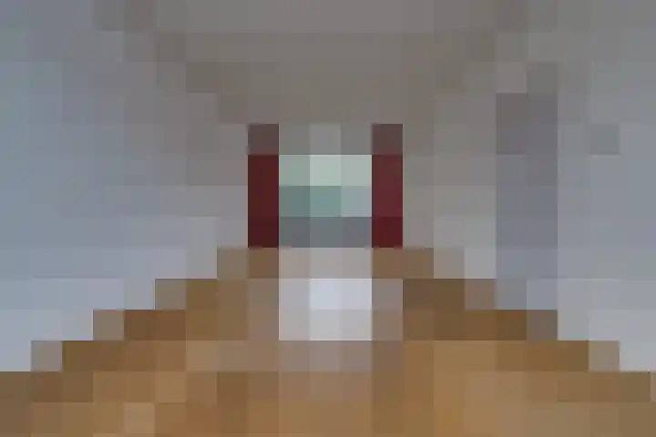 Heemker Akkerstraat 15 Ter Apel thumbnail 9