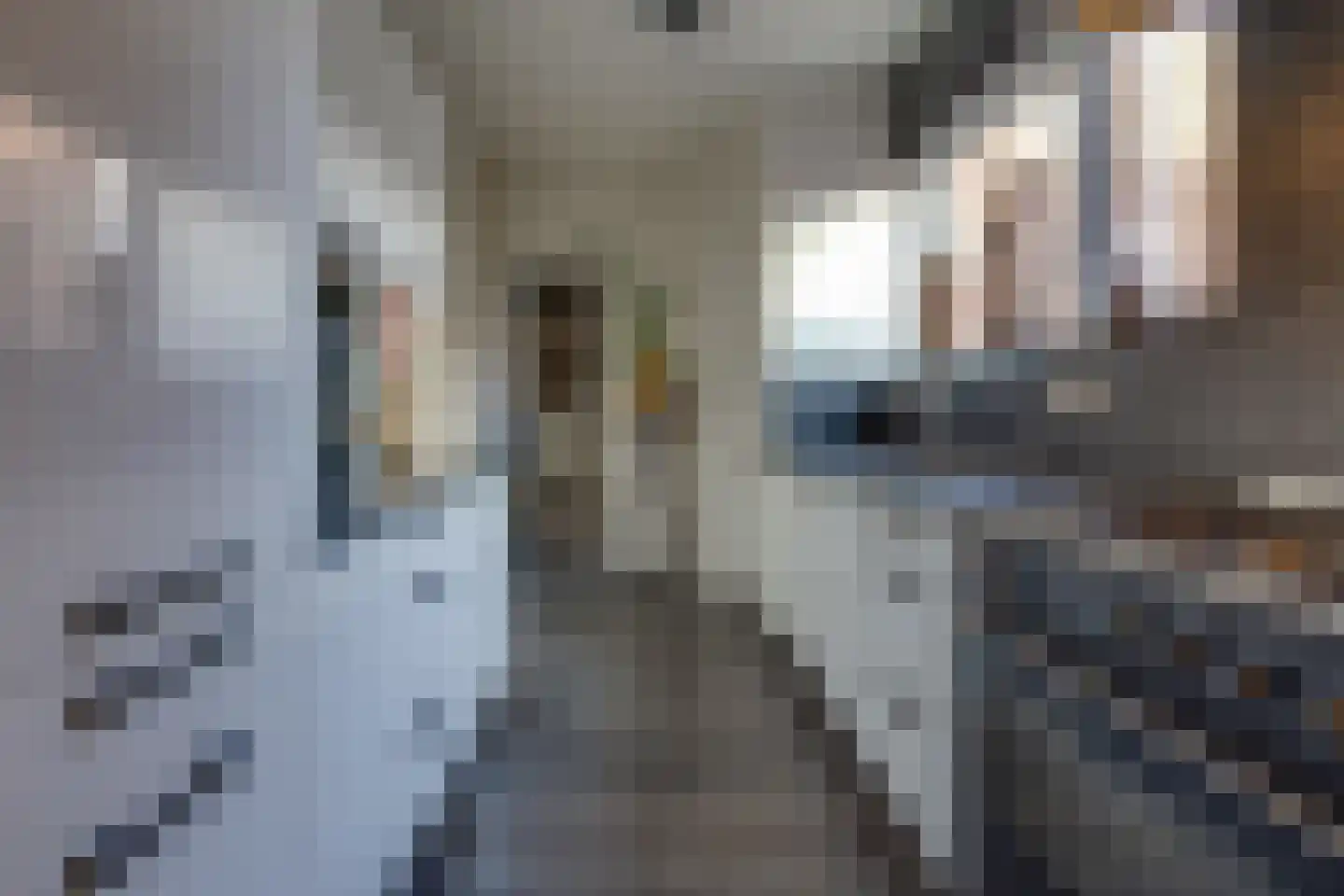 Heemker Akkerstraat 5 Ter Apel thumbnail 16