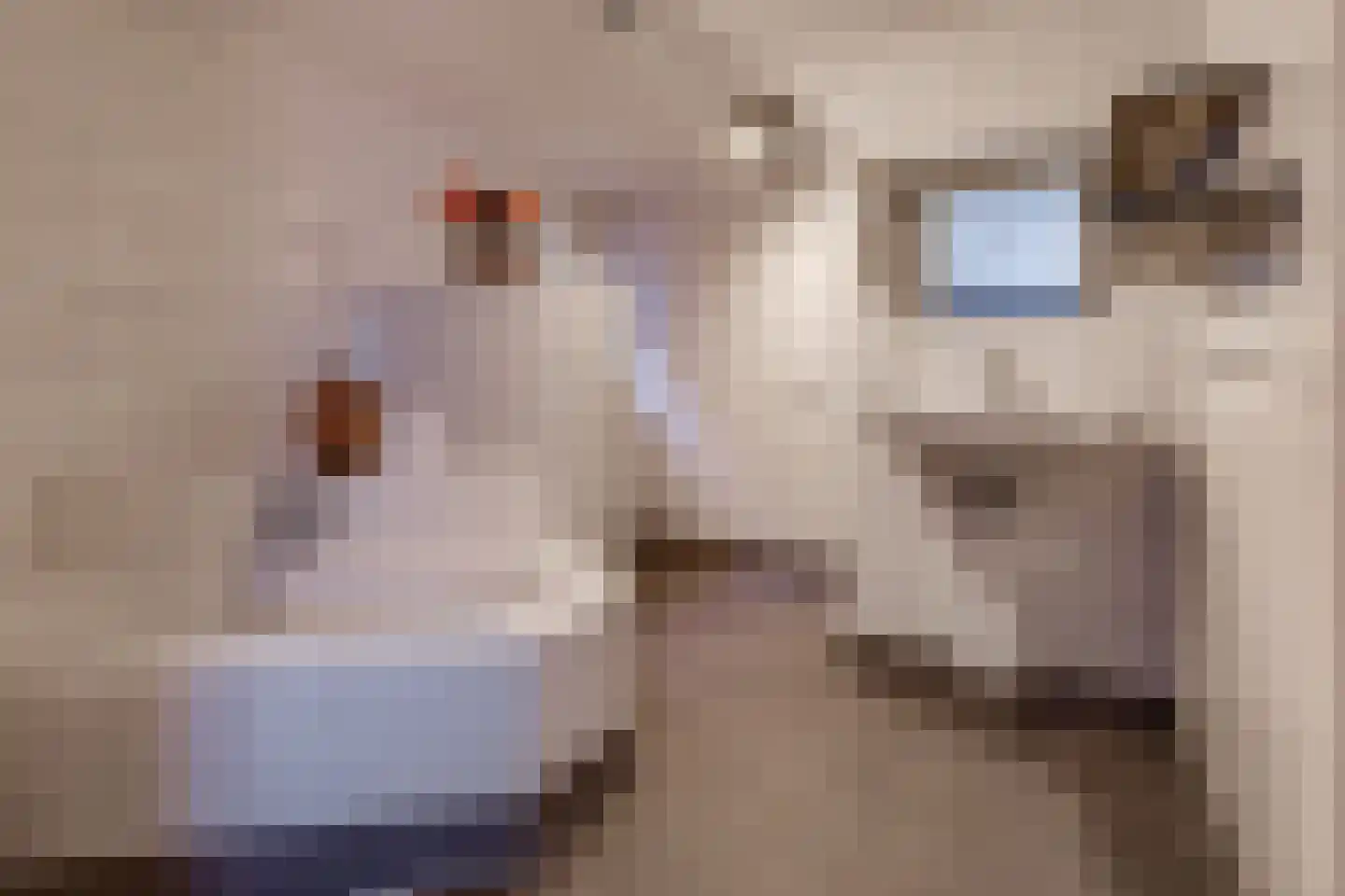 Heemker Akkerstraat 5 Ter Apel thumbnail 21