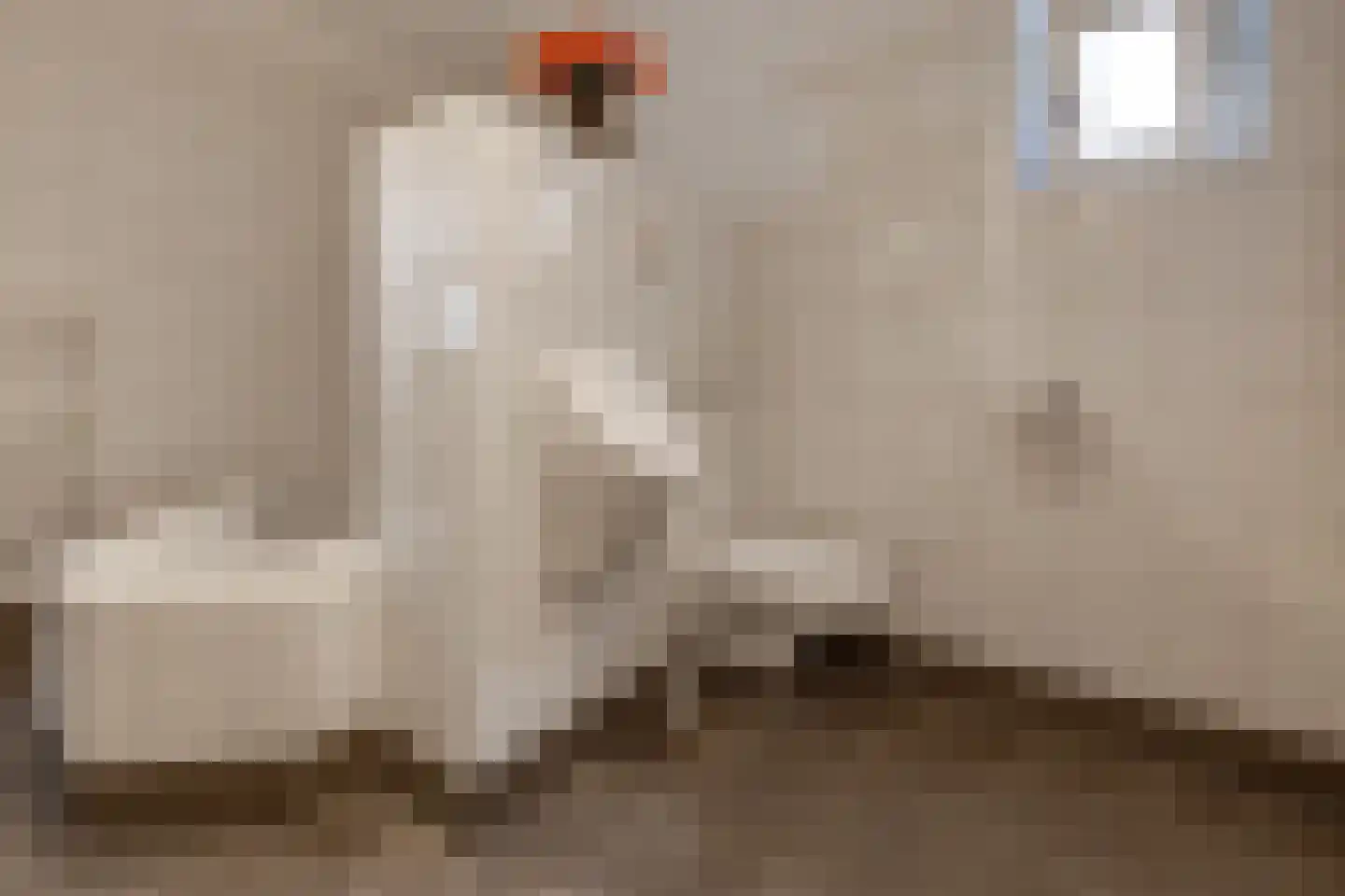 Heemker Akkerstraat 5 Ter Apel thumbnail 23
