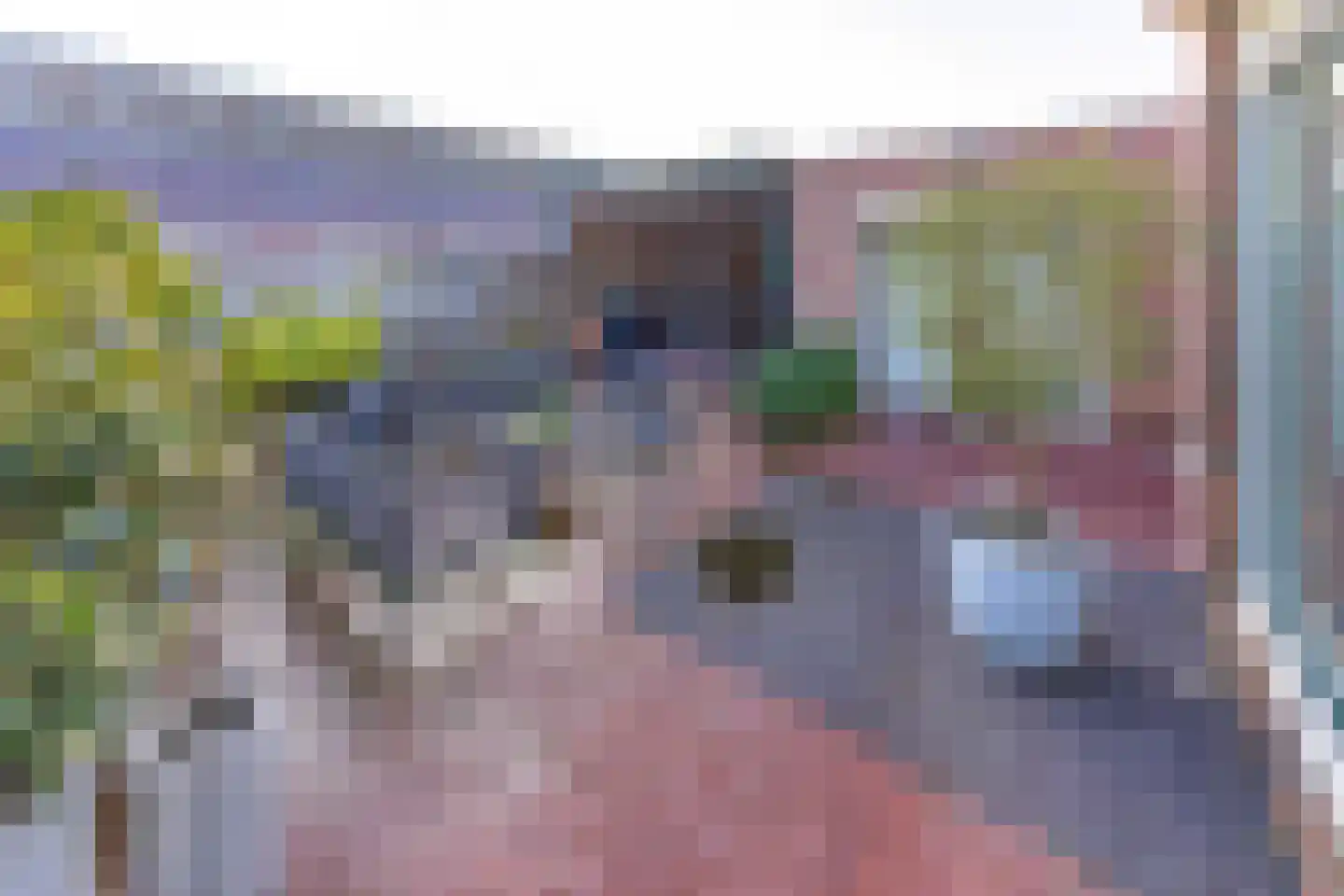 Heemker Akkerstraat 5 Ter Apel thumbnail 40
