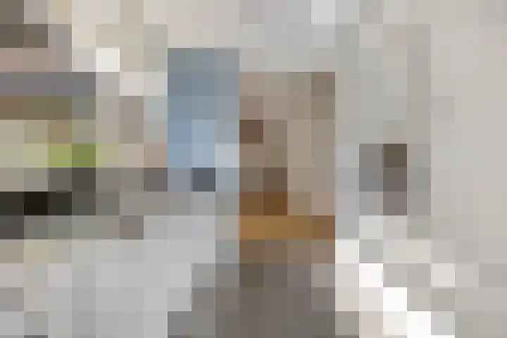 Heemlaan 12 Krimpen aan den IJssel thumbnail 11