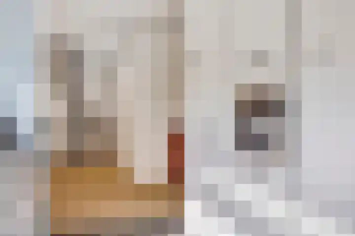 Heemlaan 12 Krimpen aan den IJssel thumbnail 12