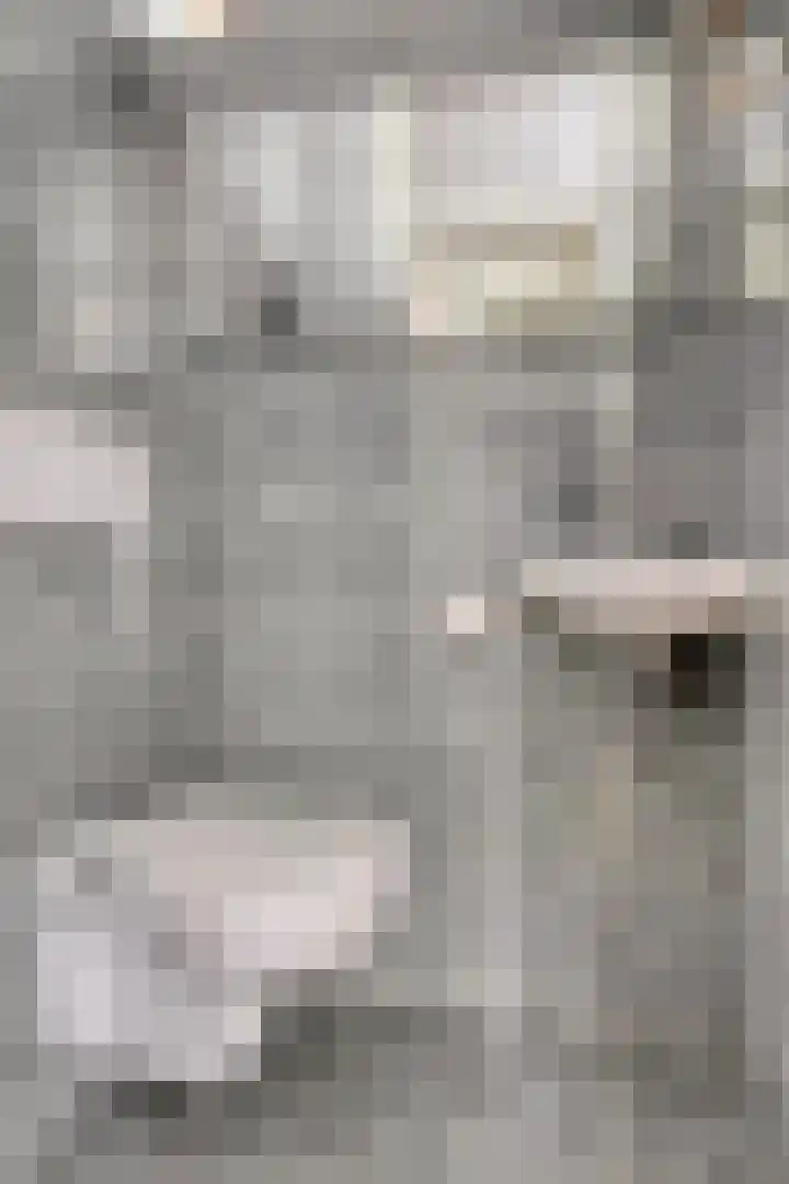 Heemlaan 12 Krimpen aan den IJssel thumbnail 14