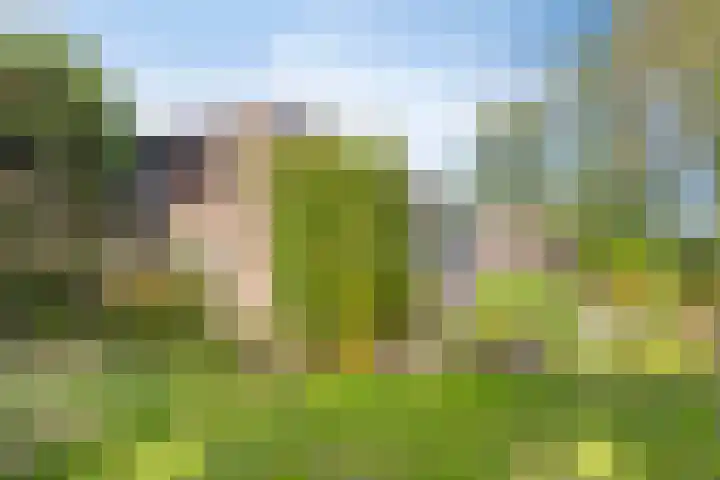 Heemlaan 12 Krimpen aan den IJssel thumbnail 26