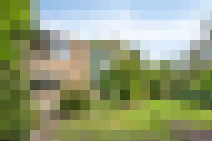 Heemlaan 12 Krimpen aan den IJssel thumbnail 27