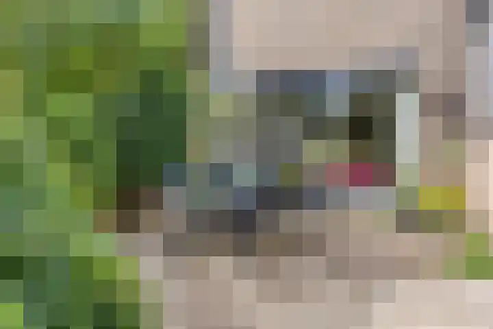 Heemlaan 12 Krimpen aan den IJssel thumbnail 28