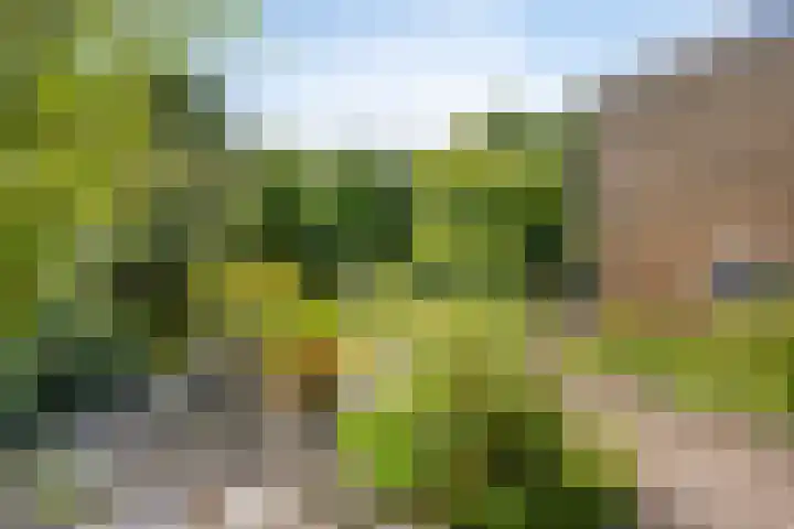 Heemlaan 12 Krimpen aan den IJssel thumbnail 29