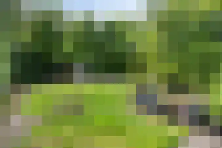 Heemlaan 12 Krimpen aan den IJssel thumbnail 30