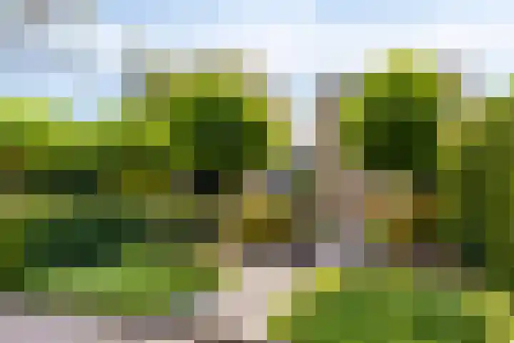 Heemlaan 12 Krimpen aan den IJssel thumbnail 32