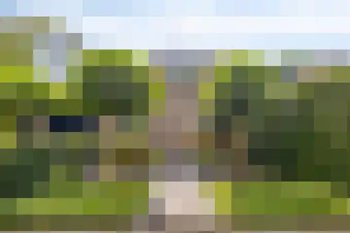 Heemlaan 12 Krimpen aan den IJssel thumbnail 33