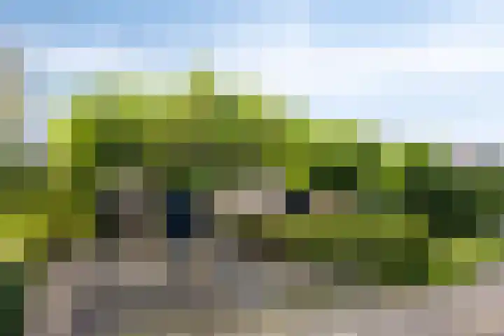 Heemlaan 12 Krimpen aan den IJssel thumbnail 34