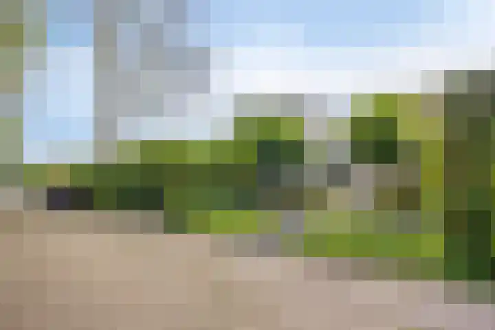 Heemlaan 12 Krimpen aan den IJssel thumbnail 35