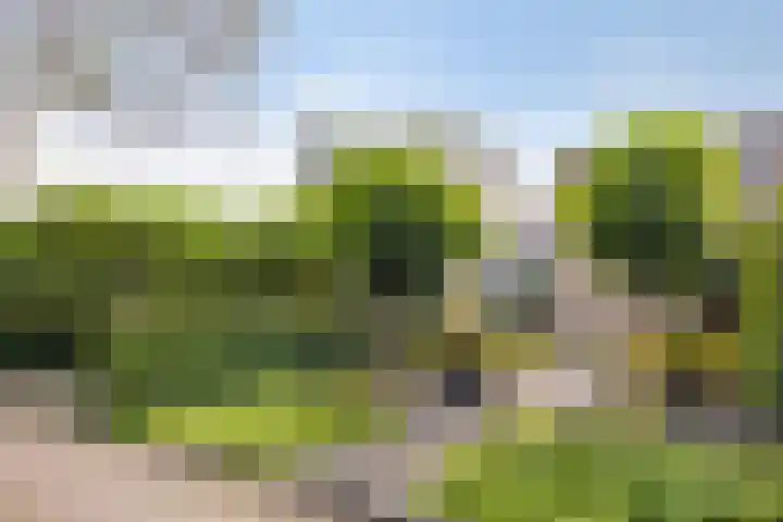 Heemlaan 12 Krimpen aan den IJssel thumbnail 36