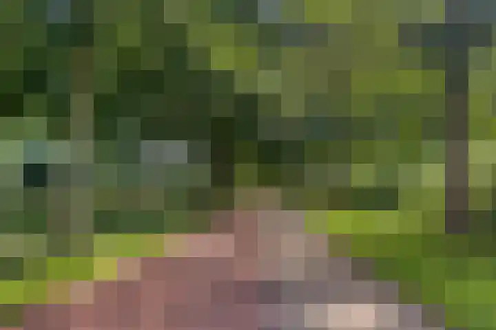 Heemlaan 12 Krimpen aan den IJssel thumbnail 37