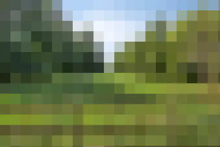 Heemlaan 12 Krimpen aan den IJssel thumbnail 39