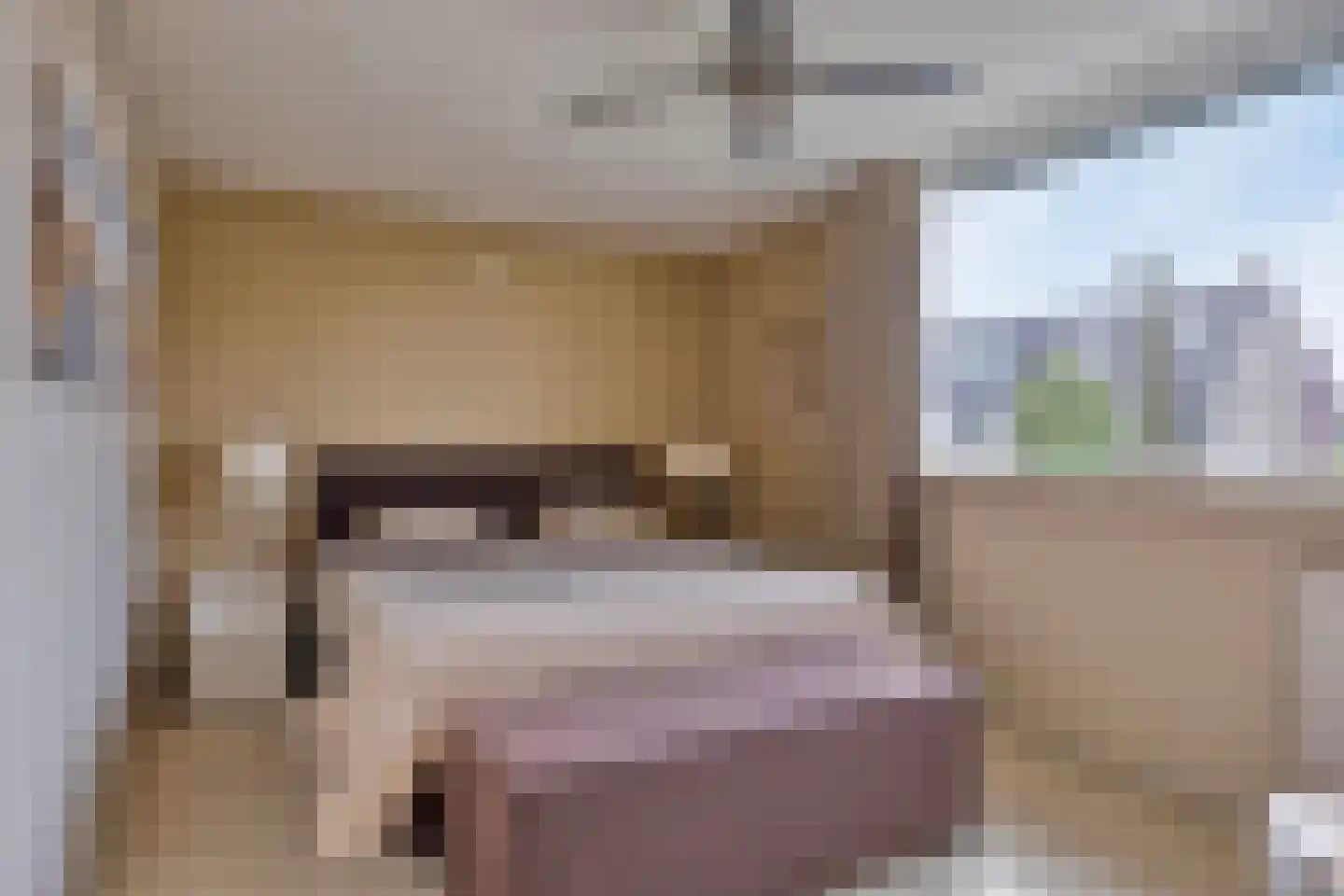 Heemlaan 18 Krimpen aan den IJssel thumbnail 17