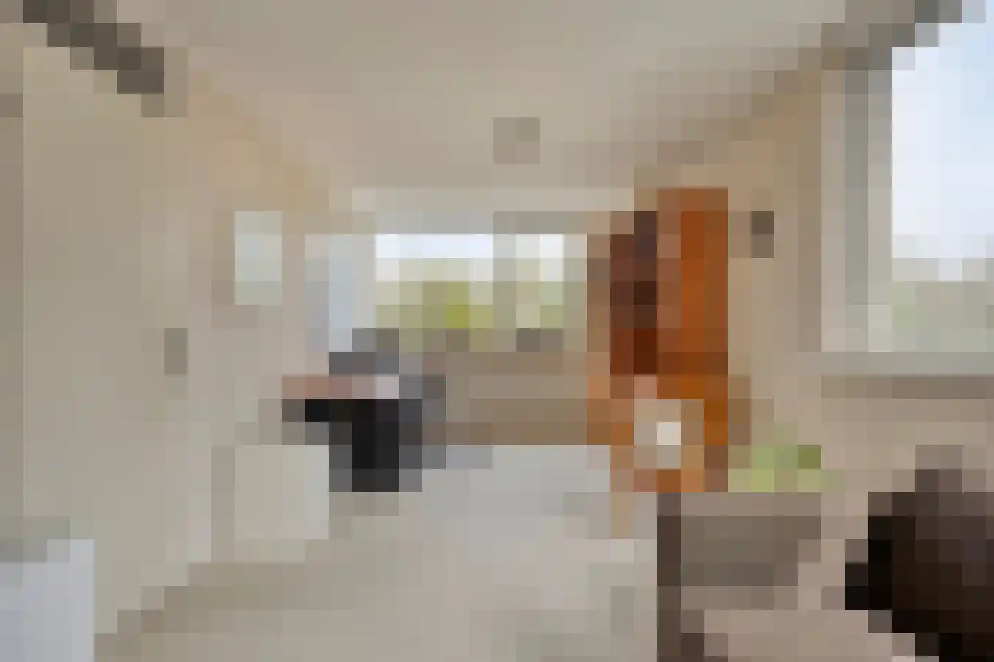 Heemlaan 18 Krimpen aan den IJssel thumbnail 21
