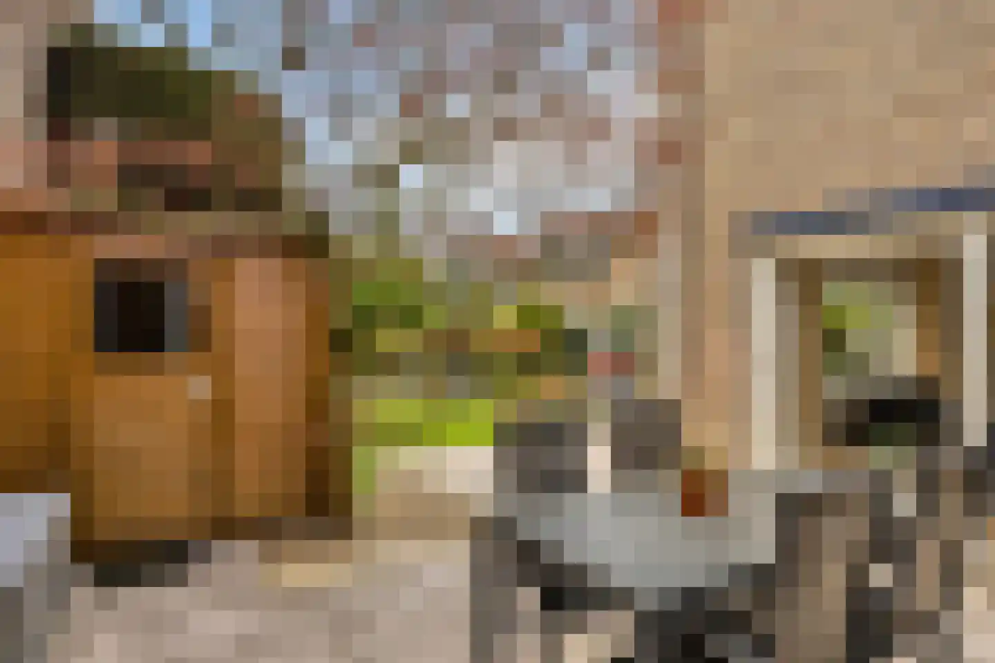 Heemlaan 18 Krimpen aan den IJssel thumbnail 25