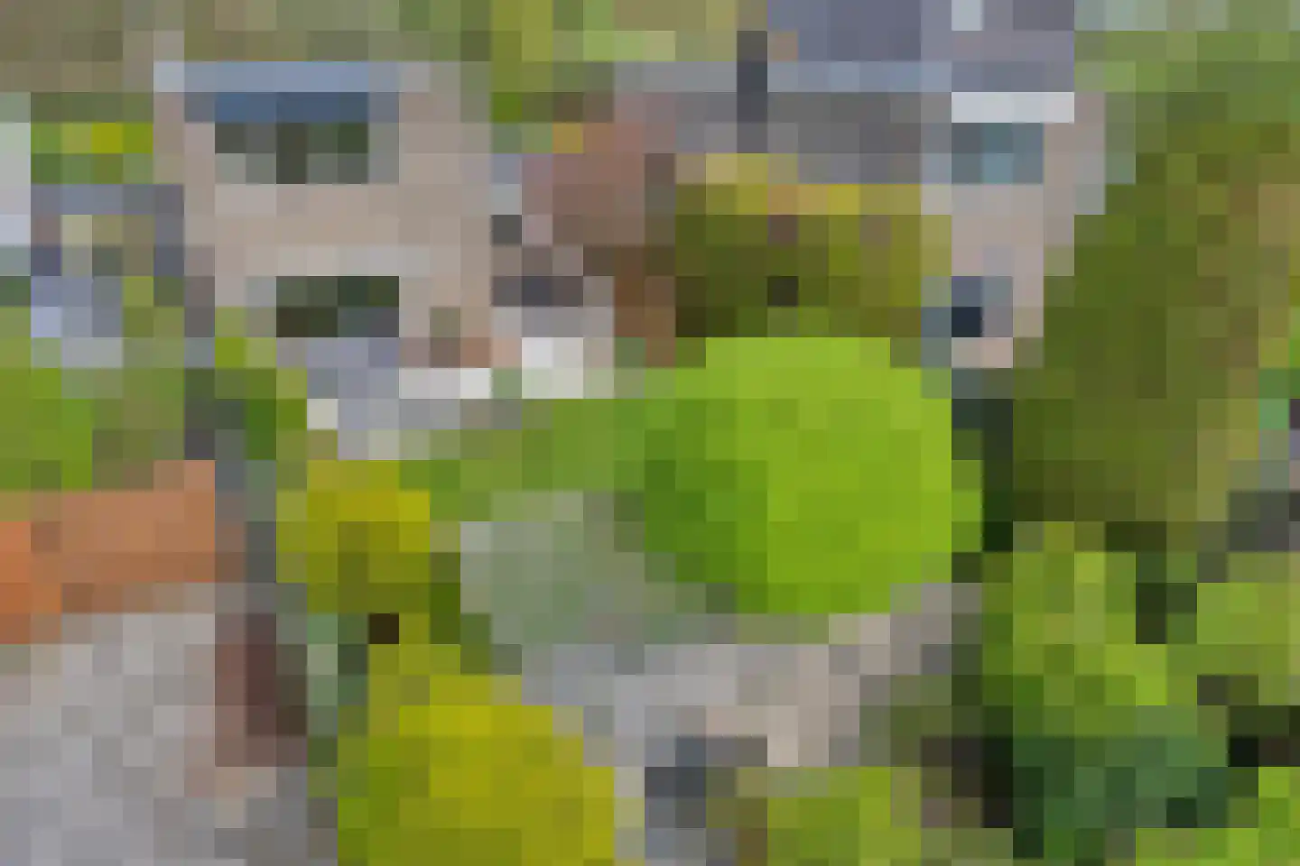 Heemlaan 18 Krimpen aan den IJssel thumbnail 29