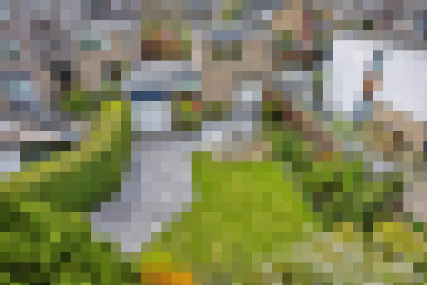 Heemlaan 18 Krimpen aan den IJssel thumbnail 30