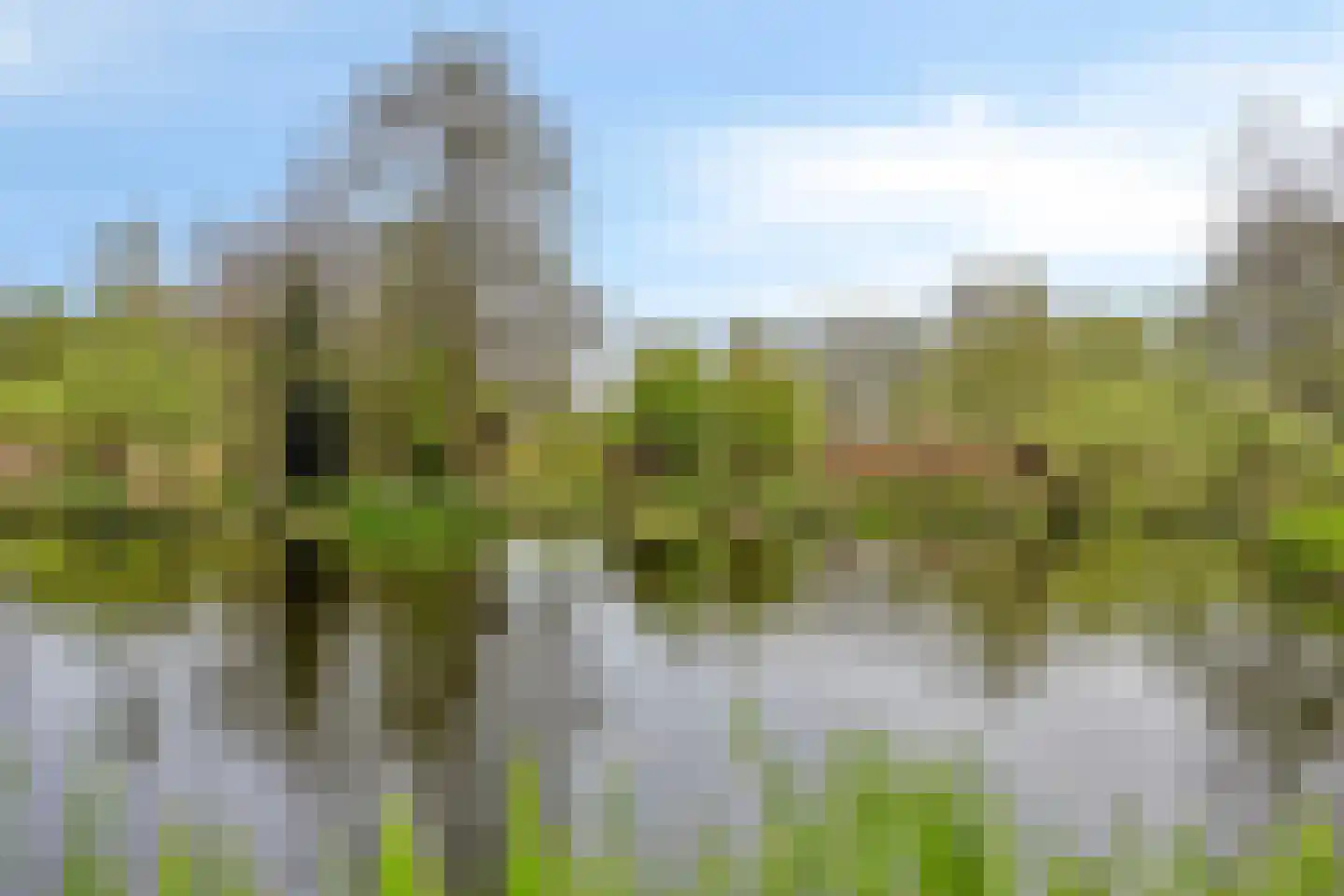 Heemlaan 18 Krimpen aan den IJssel thumbnail 33