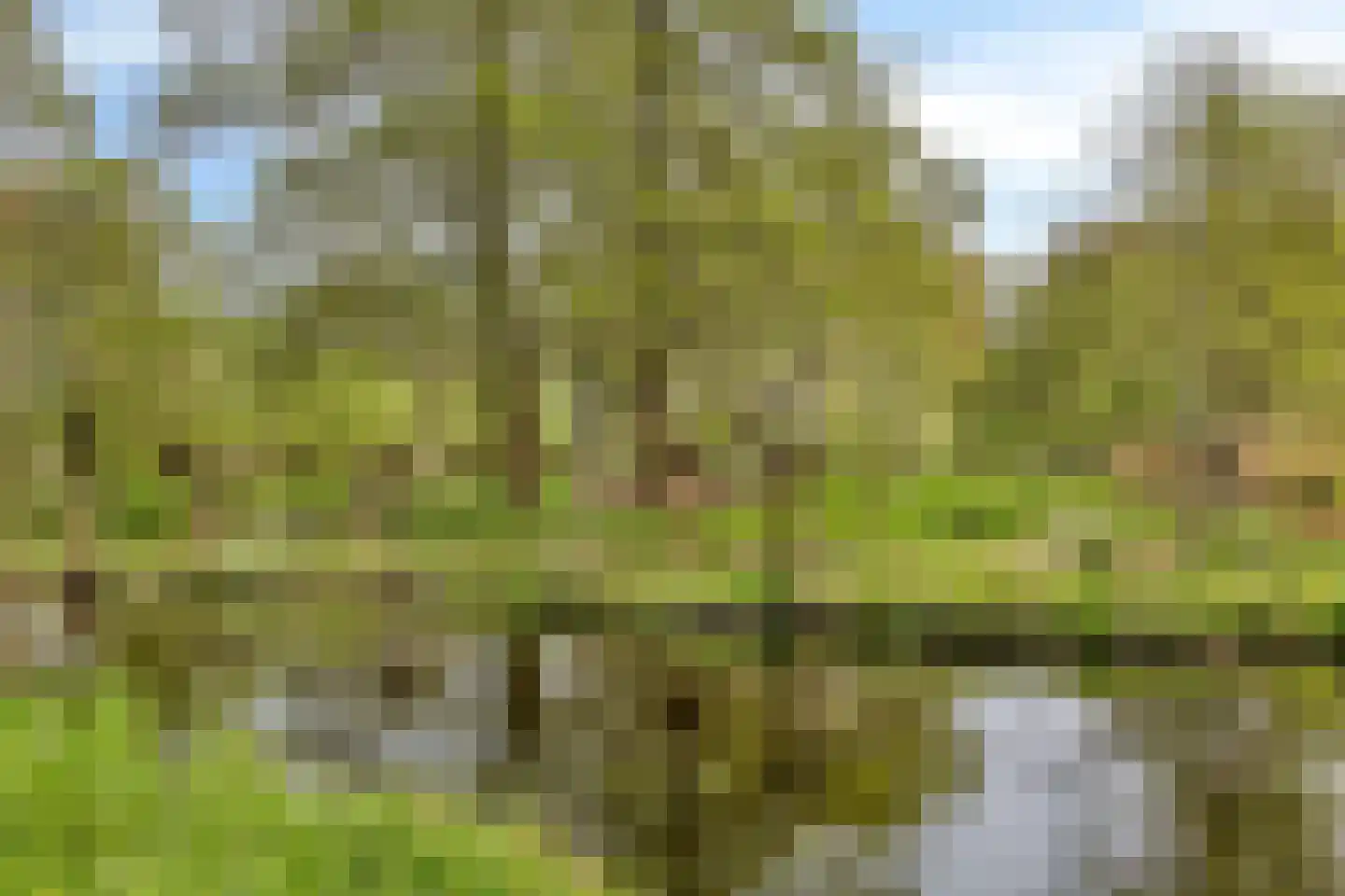 Heemlaan 18 Krimpen aan den IJssel thumbnail 34