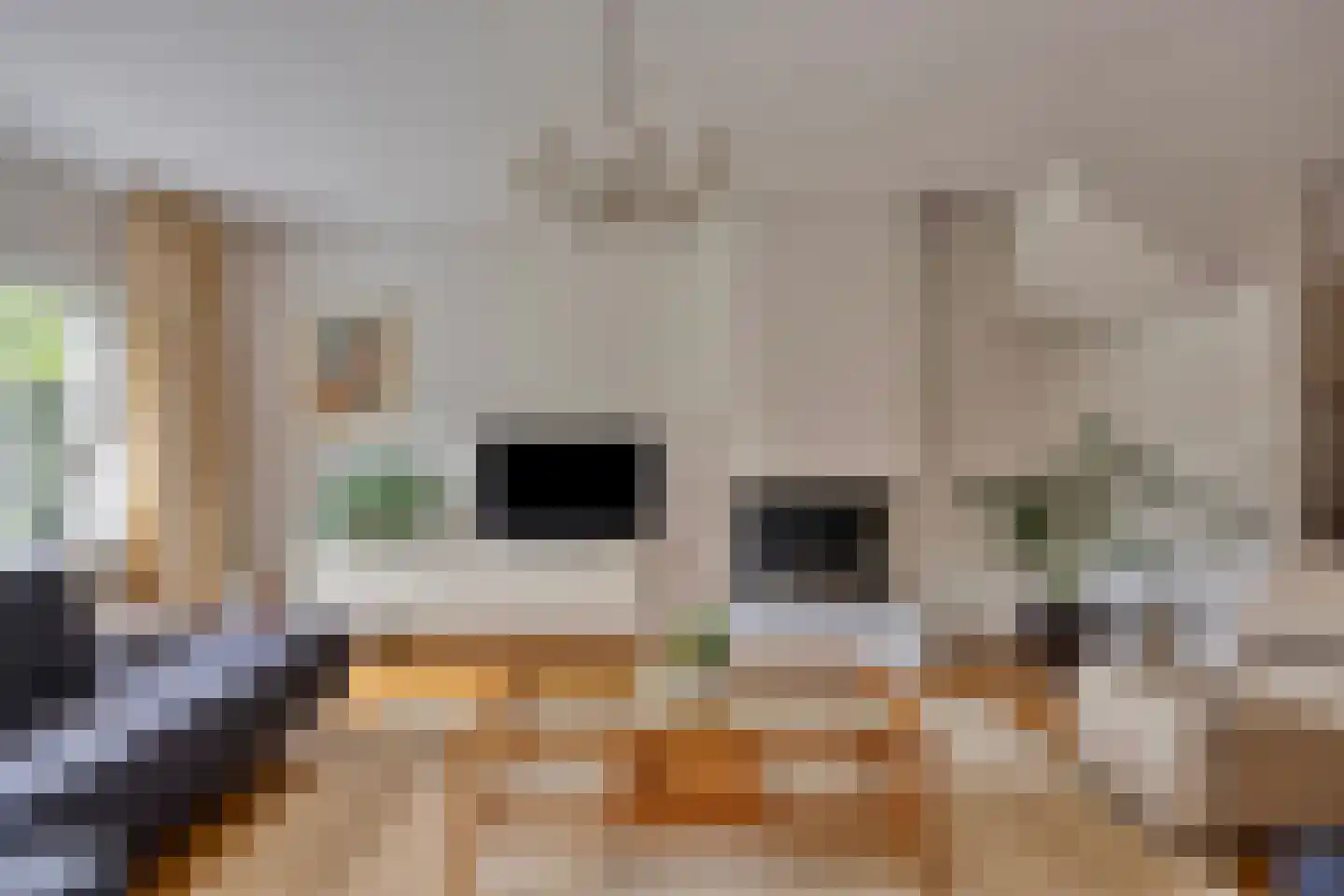Heemlaan 18 Krimpen aan den IJssel thumbnail 4