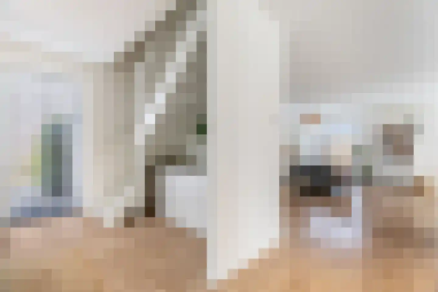 Heemlaan 35 Piershil thumbnail 10