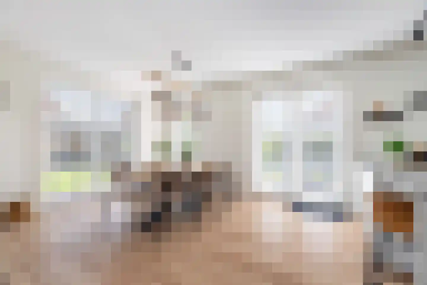 Heemlaan 35 Piershil thumbnail 23
