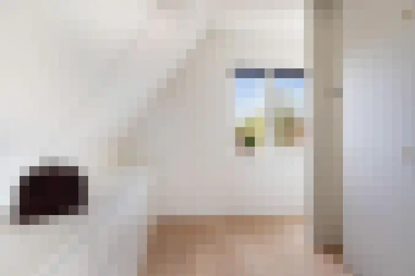 Heemlaan 35 Piershil thumbnail 32