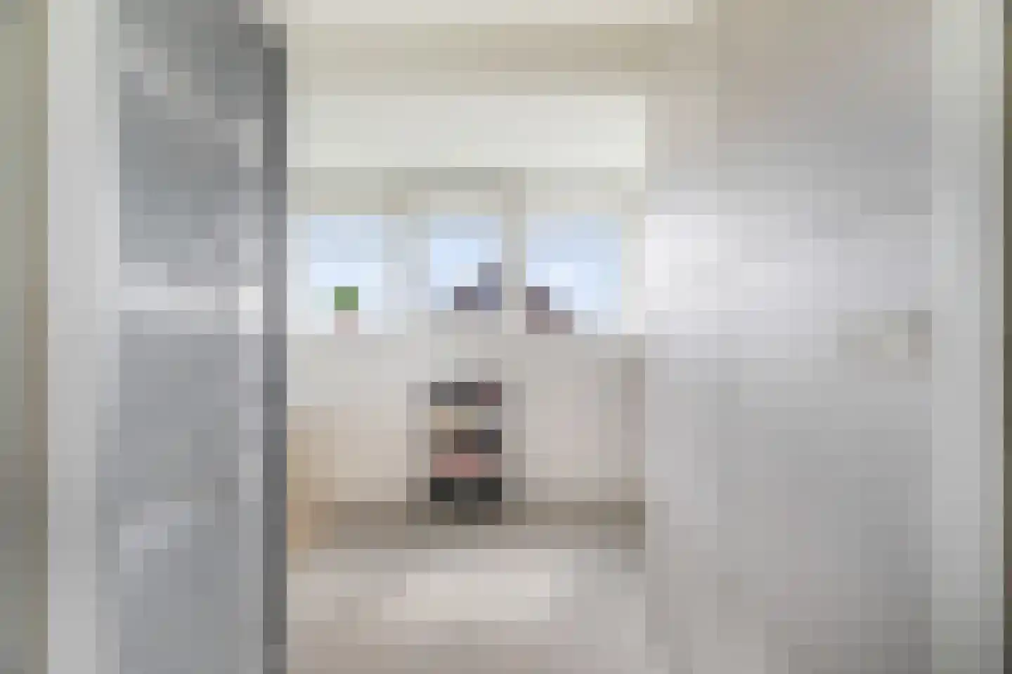 Heemlaan 35 Piershil thumbnail 42