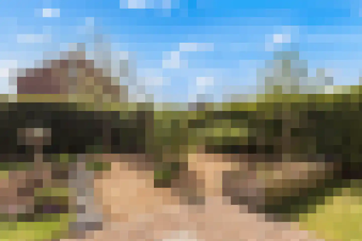 Heemlaan 35 Piershil thumbnail 61
