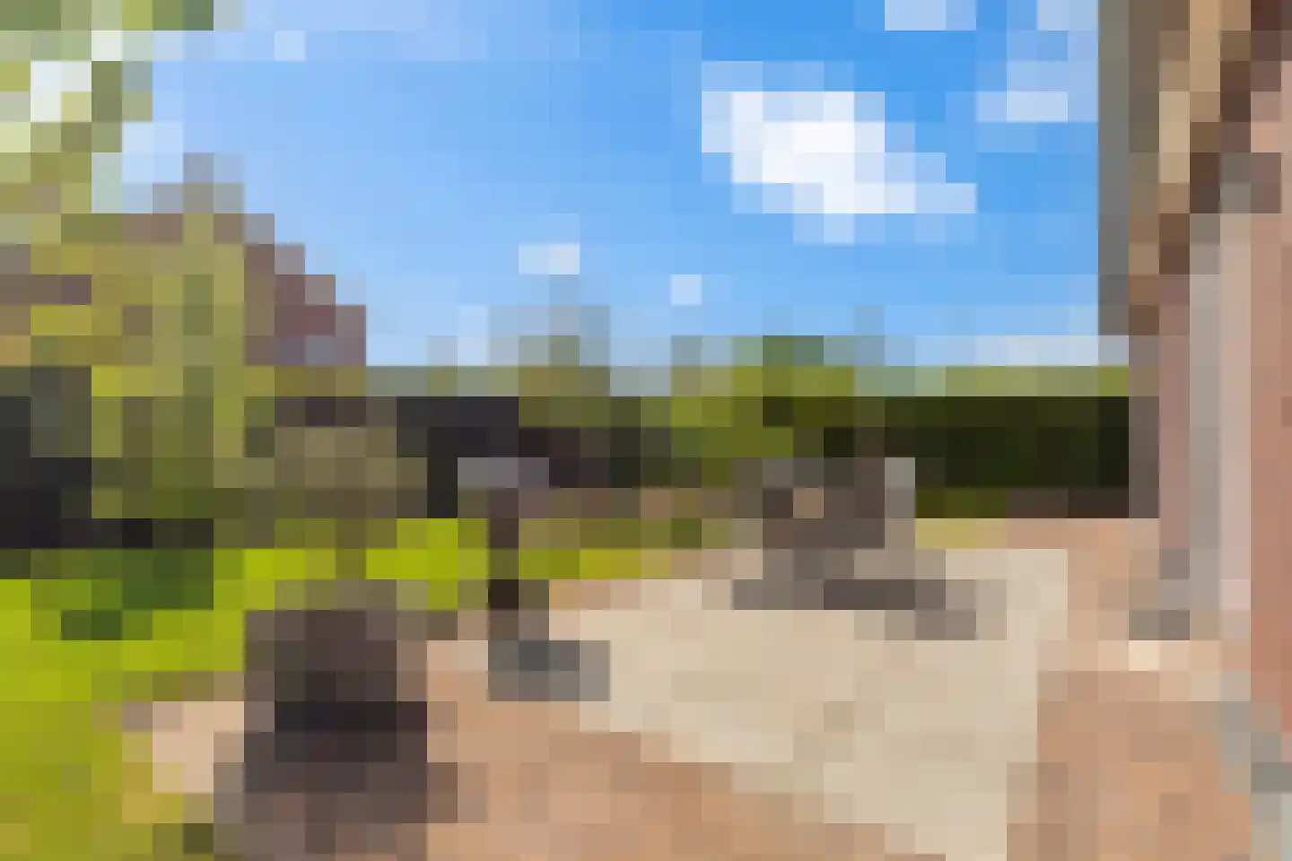 Heemlaan 35 Piershil thumbnail 63
