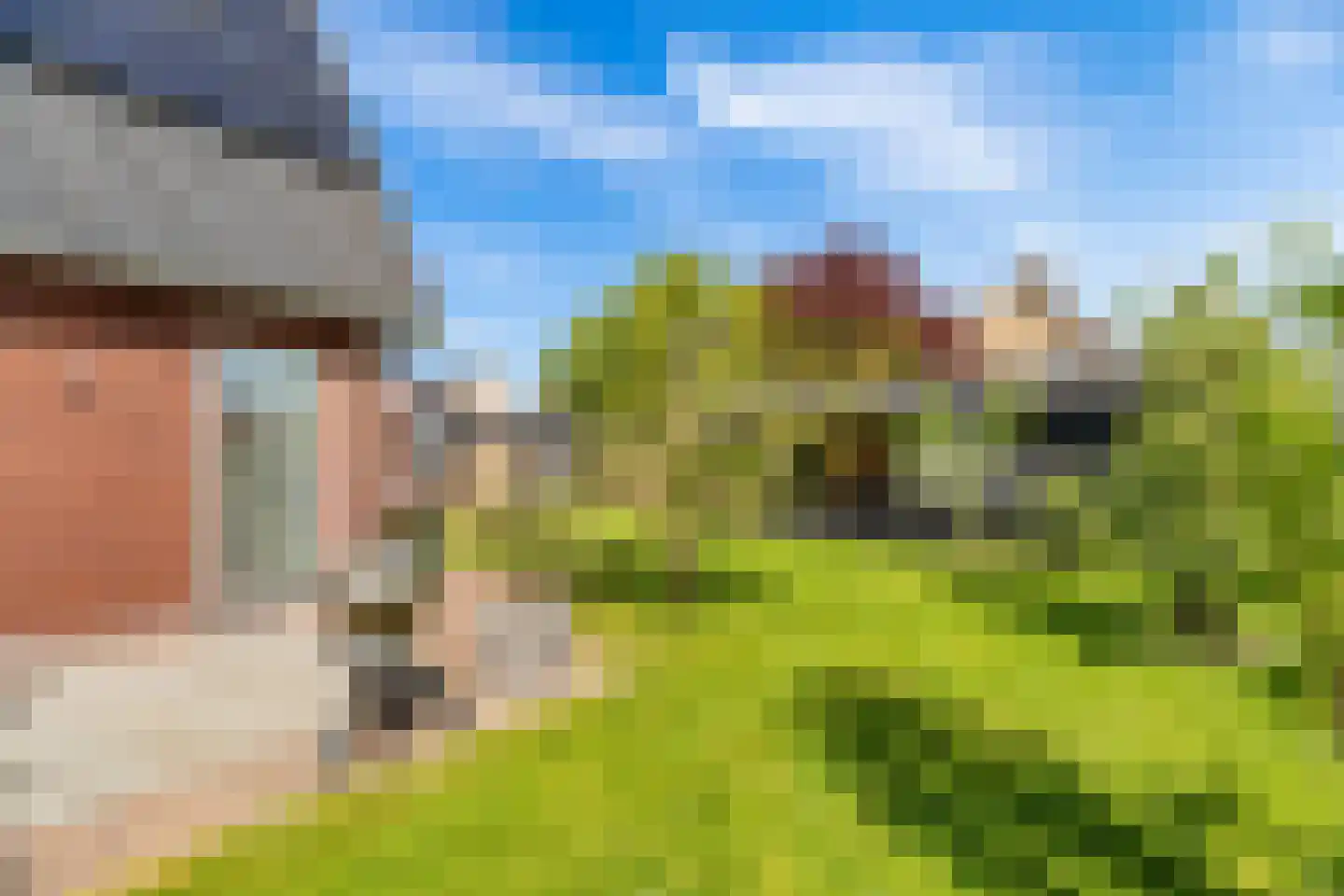 Heemlaan 35 Piershil thumbnail 64