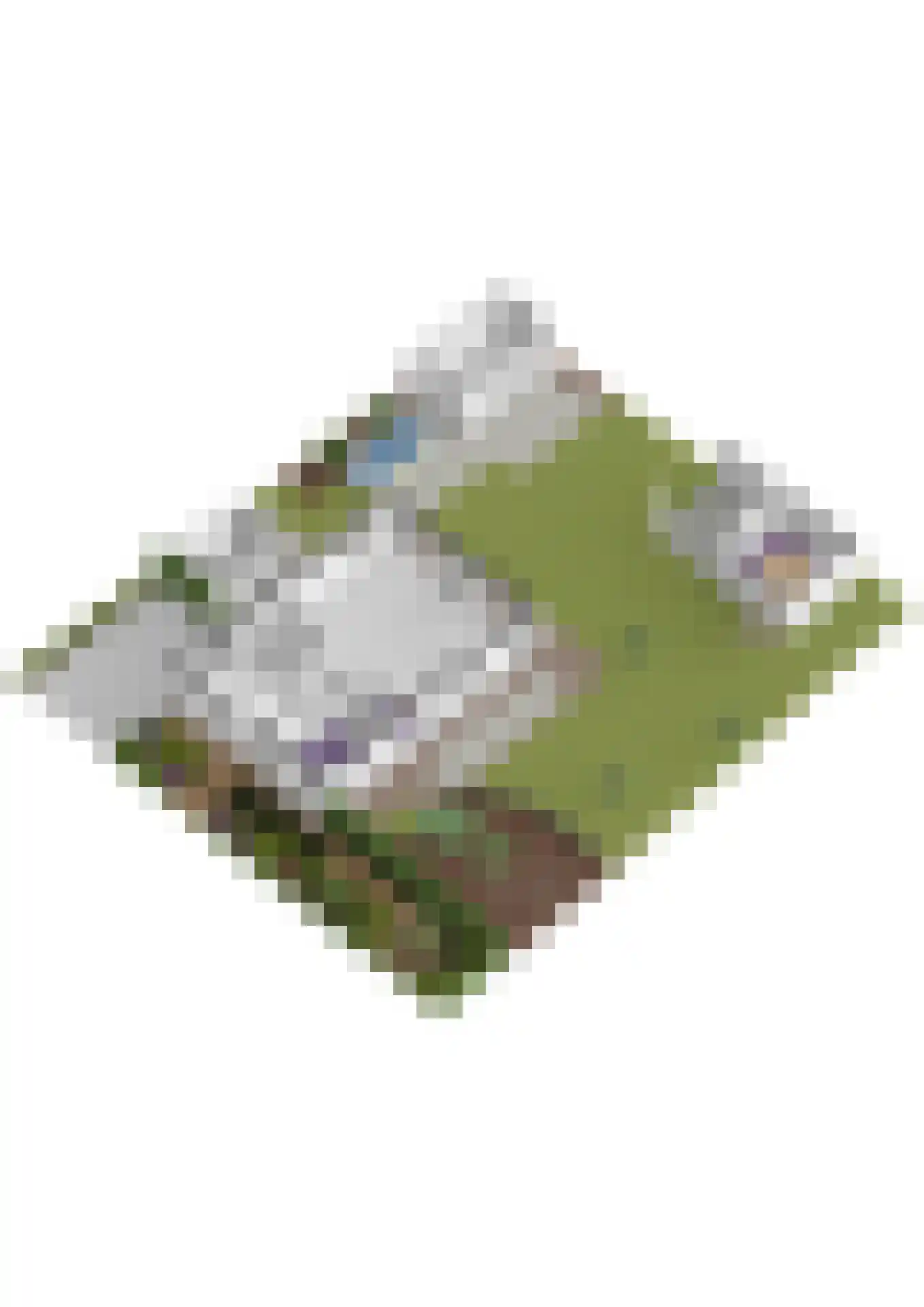 Heemlaan 35 Piershil thumbnail 76