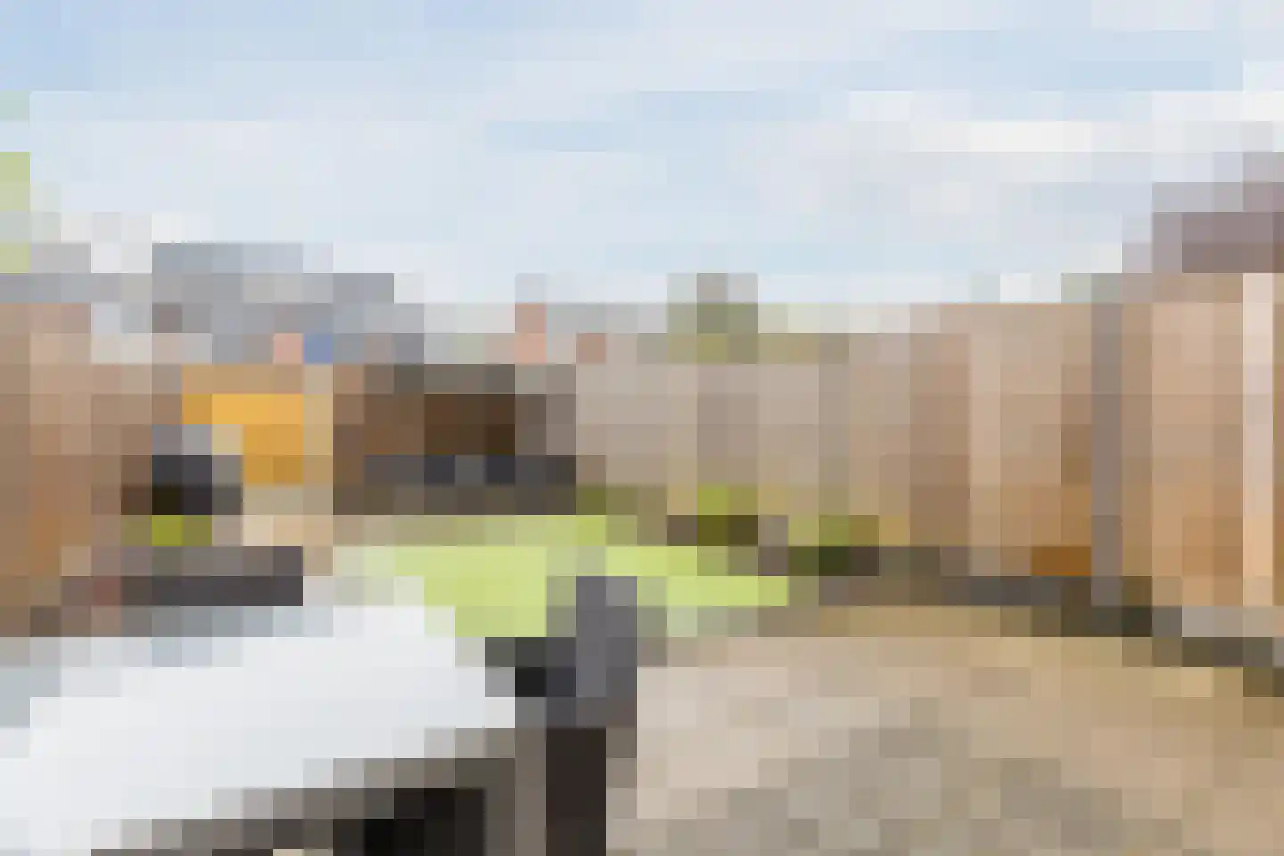 Heemlaan 67 Heerhugowaard thumbnail 31