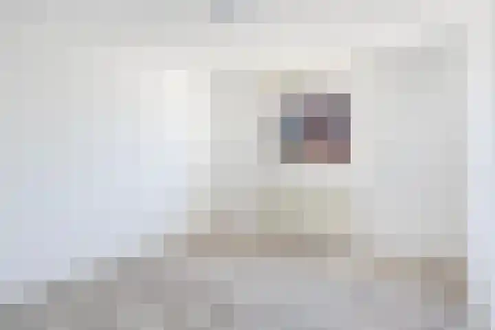 Heemlaan 9 Piershil thumbnail 20