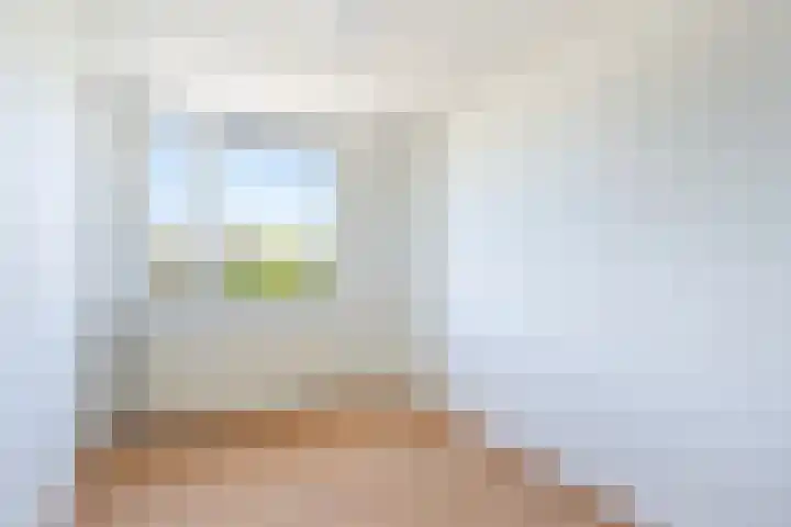 Heemlaan 9 Piershil thumbnail 24