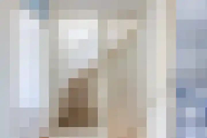 Heemlaan 9 Piershil thumbnail 28